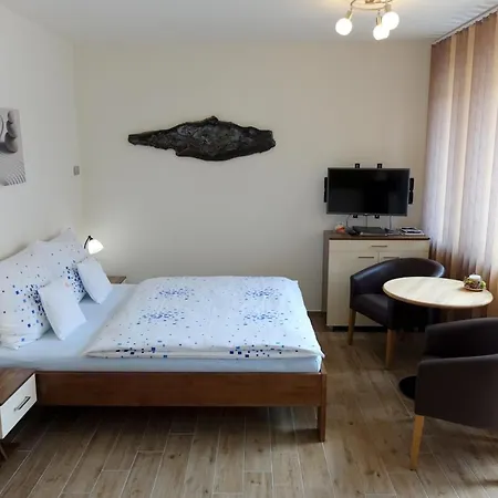 Eel Brno