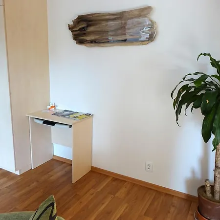 Eel Apartment Brno