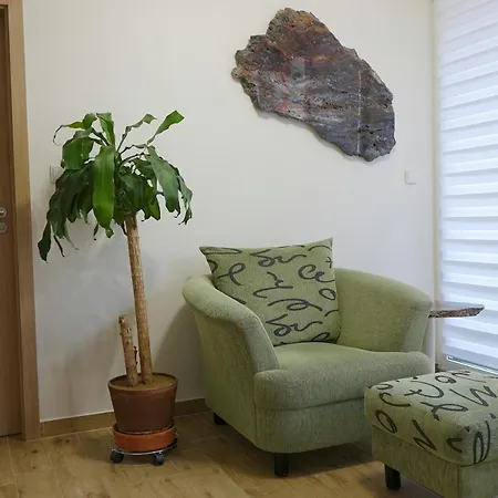 Apartment Eel Brno