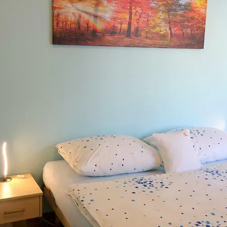 Apartment Eel *