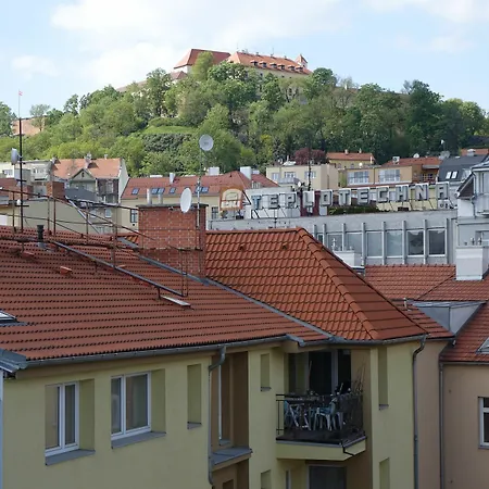 Eel Brno